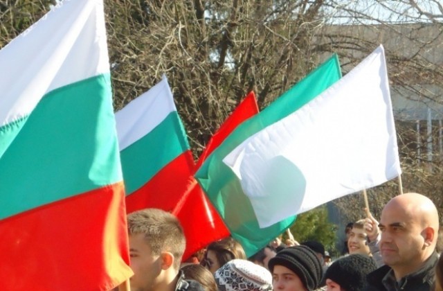 Хиляди красиви цветя красят площад „Съединение“