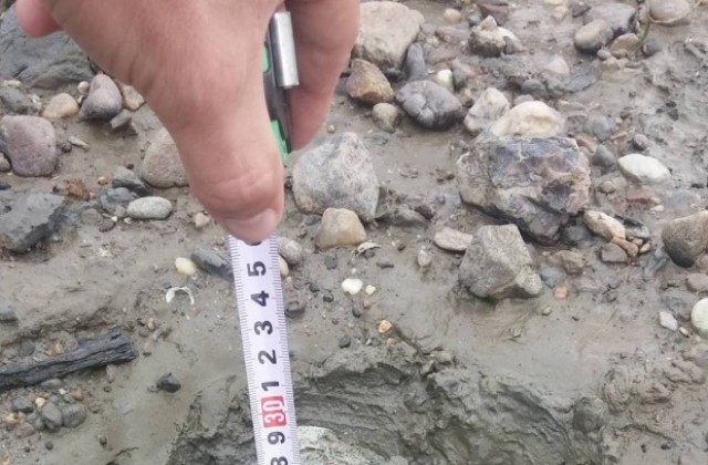 Намериха невзривен снаряд на плаж във Видин