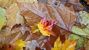 Докога ще продължи лошото време и ще се радваме ли