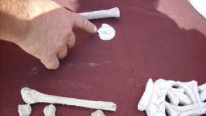 В крепостта Залдапа край Крушари откриха мощи от християнски мъченици