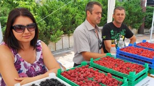 Малинопроизводителите се събират в Лозница за трети път