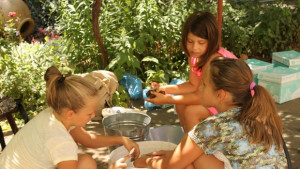 Музеят в Г Оряховица отново с доброволческа инициатива за почистване