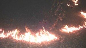 Два сигнала за запалени сухи треви и храсти в района