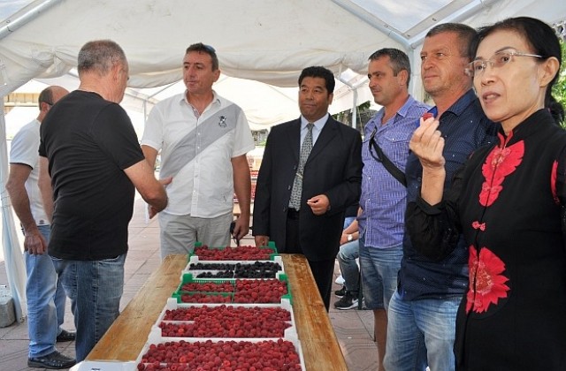 Китайци с интерес към българските малини, 3 дни са в Лозница