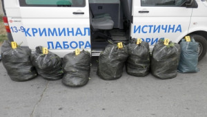 Ферма за марихуана с капково напояване направи варненец