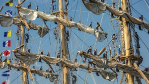 Чакат Путин на регатата Тол Шипс СНИМКИ