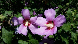 Времето на 14 септември Предимно слънчево и топло