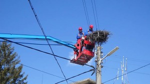 Монтираха птицебрани по електропровод в село Александрия