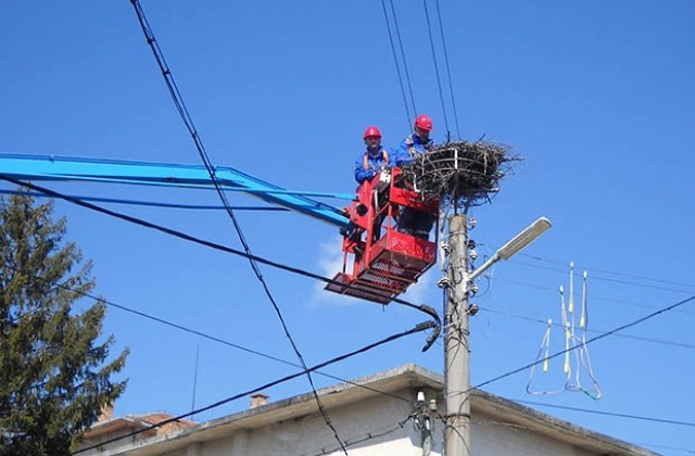 Монтираха птицебрани по електропровод в село Александрия