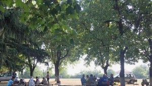 Севарчани се събраха заедно да празнуват Курбан Байрам