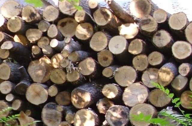 Хванаха бракониери на дърва