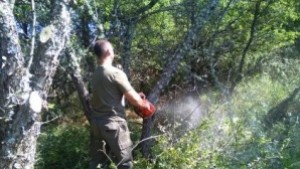 Почистиха от храсти 27 км от граничната бразда с Македония