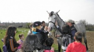 Помагат на 20 деца за провеждането на конна терапия