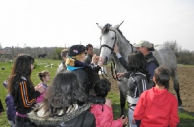 Помагат на 20 деца за провеждането на конна терапия