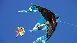 Канят ни на фестивал на хвърчилата в Шабла