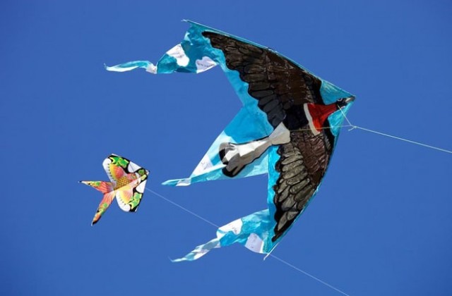 Канят ни на фестивал на хвърчилата в Шабла