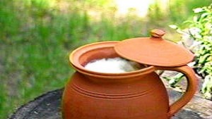 Кастинг за Кралица на киселото мляко в Момчиловци