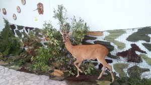 Откриха изложба посветена на 120годишнината от Ловно дружество Сливен