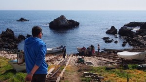 Морето завря от риба паламудът показва че водата е чиста