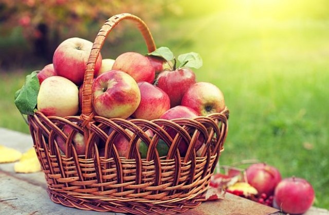 Преносим уред преценява дали ябълките са узрели