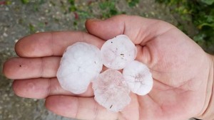 Градушка с големина на яйце удари варненско село