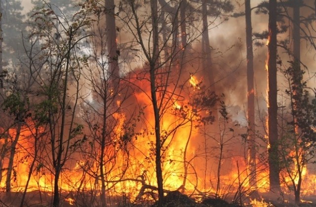 Нов голям горски пожар в Харманлийско
