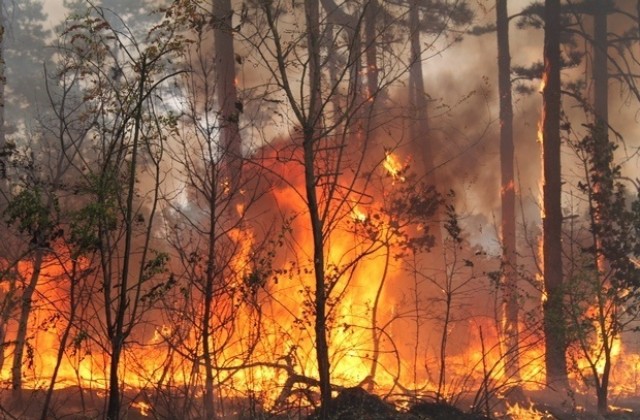 Пореден голям горски пожар в Харманлийско