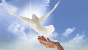 Светът отбелязва Международния ден на мира