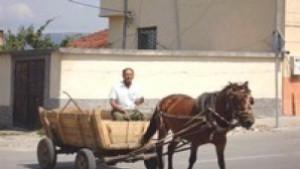 Община Сливен ще защитава в съда забраната за движение на