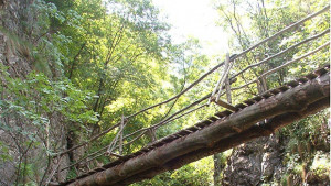 Поход до екопътека Боров камък за Световния ден на туризма