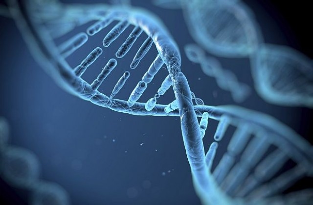 Протеин от най-издръжливото животно предпазва човешката ДНК