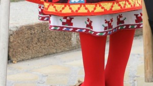 Фестивал на сливата събира стотици в Орешак и Троян