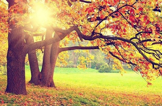 В първия ден на есента ще бъде слънчево