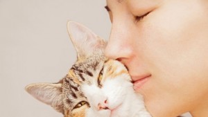 Кога гушкането на котки е опасно за здравето