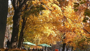 Слънчево време в първия ден на астрономическата есен