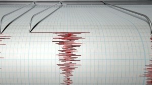 Земетресението във Вранча регистрирано и в Димитровград