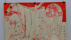 Огромен интерес към изложбата на пленера Звук и цвят в