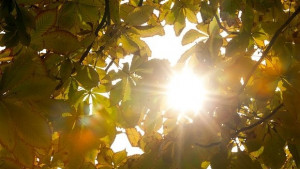 Какво време ни очаква в следващите дни