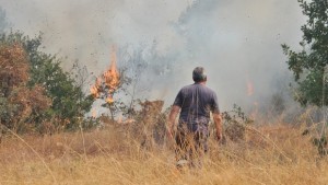 30 дка гори изгоряха край Спахиево и Стамболийски
