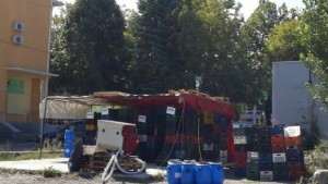 Открит е сезонът на виното в Кюстендил