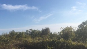 Хиляди декари по Добруджанското Черноморие обречени на безплодие заради спорни