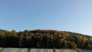 Велбъжд спечели битката в област Кюстендил от турнира за Купата