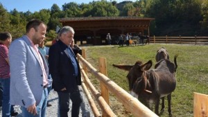 Резерват за магарета отвори врати в Баничан