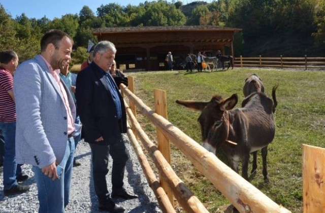 Резерват за магарета отвори врати в Баничан