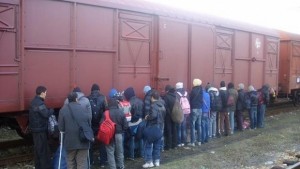 Хванаха 56 незаконни имигранти във влак на ГКПП Кап Андреево
