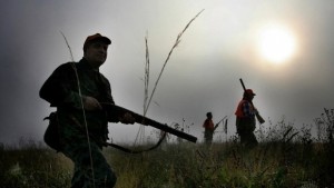  Открива се груповият лов на дива свиня 