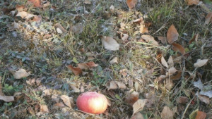 Какво време ни очаква през октомври