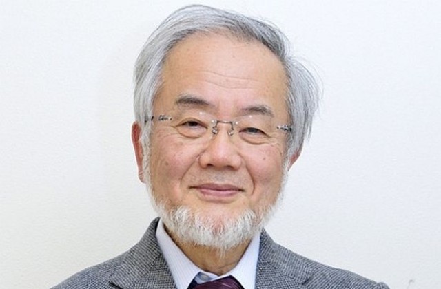 Японецът Йошинори Осуми получи Нобеловата награда за медицина