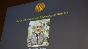 Как Йошинори Осуми спечели Нобелова награда за медицина