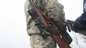 Откриха застреляна сърна край село Тумбалово